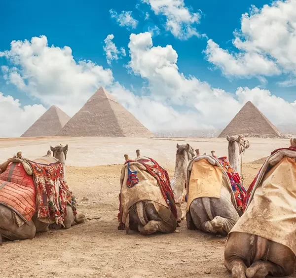 Kairo Tour mit dem Bus – 1 Tag ab Hurghada