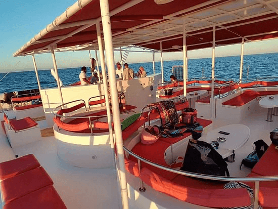 Katamaran Hurghada – Ocean Diva Schnorcheltour – Bild 2