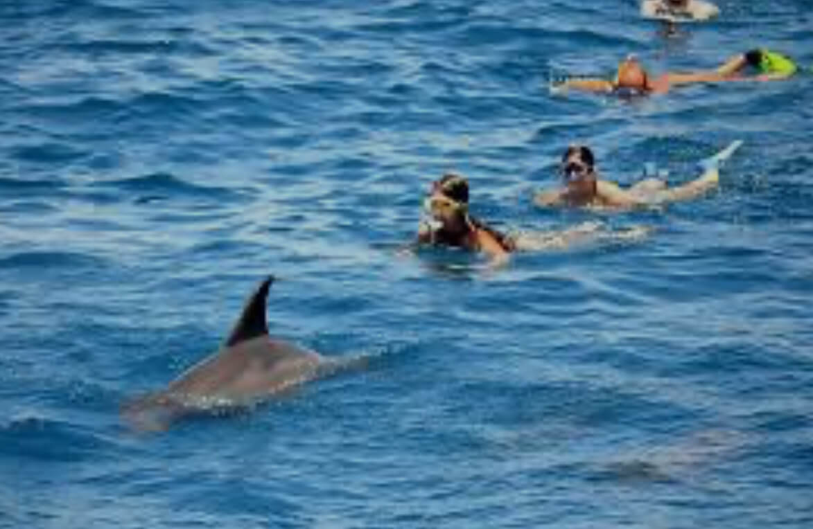 Katamaran Hurghada – Ocean Diva Schnorcheltour – Bild 6