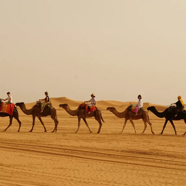 Kamelreiten in der Wüste Hurghada
