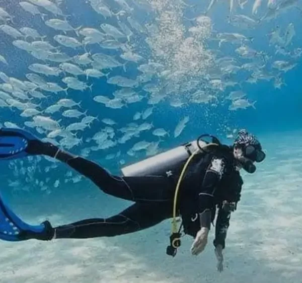 Open Water Referral – 2 Tage, 4 Tauchgänge