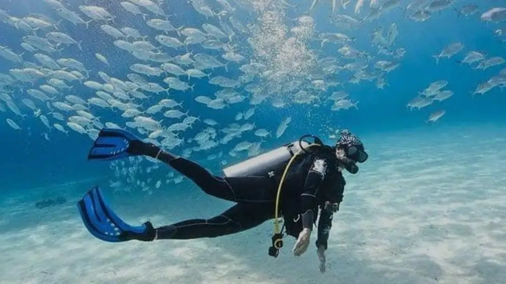 Schnuppertauchen Hurghada – 1 oder 2 Tauchgänge – Bild 7