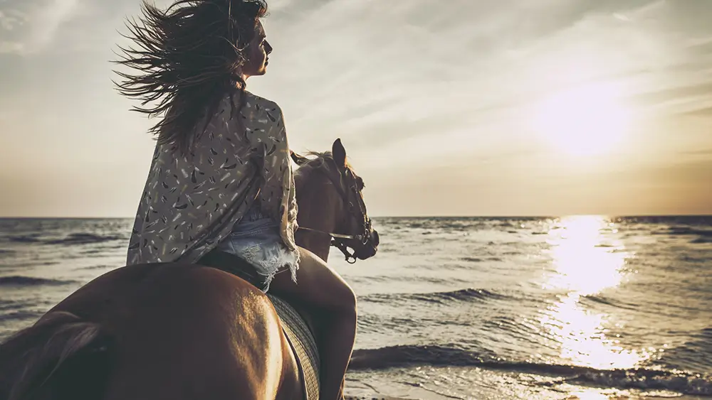 Pferd- und Kamelreiten Kombitour – Bild 3