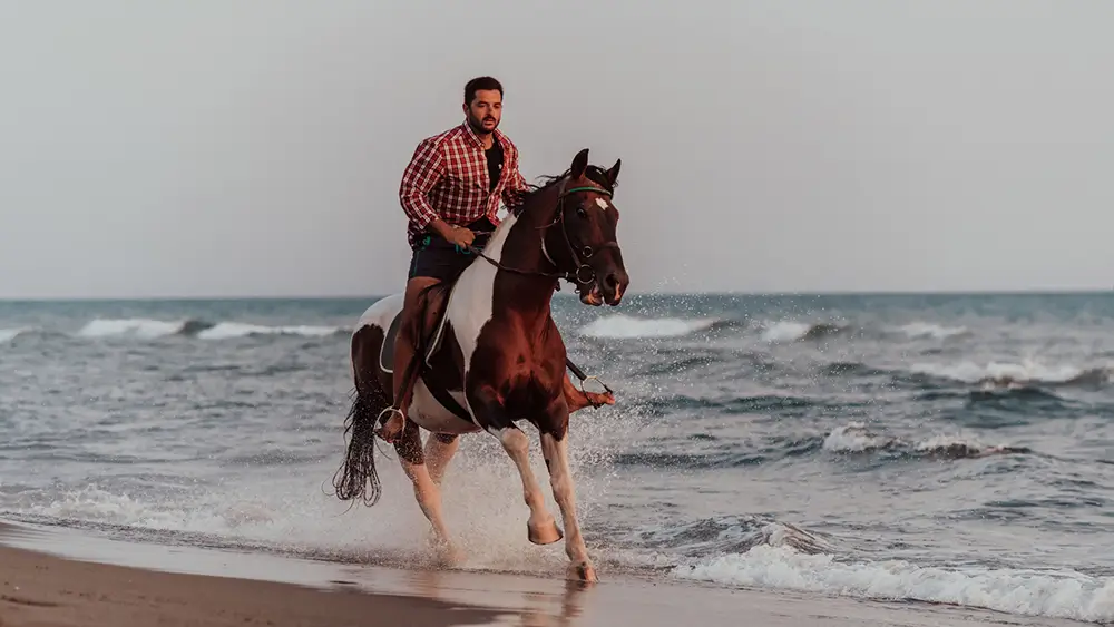 Pferd- und Kamelreiten Kombitour – Bild 7