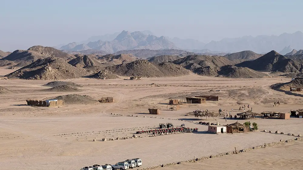 Pferd- und Kamelreiten Kombitour – Bild 2