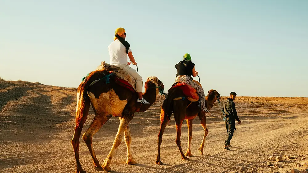 Pferd- und Kamelreiten Kombitour – Bild 6