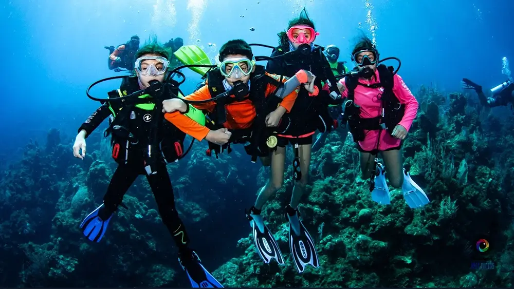 Schnuppertauchen Hurghada – 1 oder 2 Tauchgänge – Bild 6