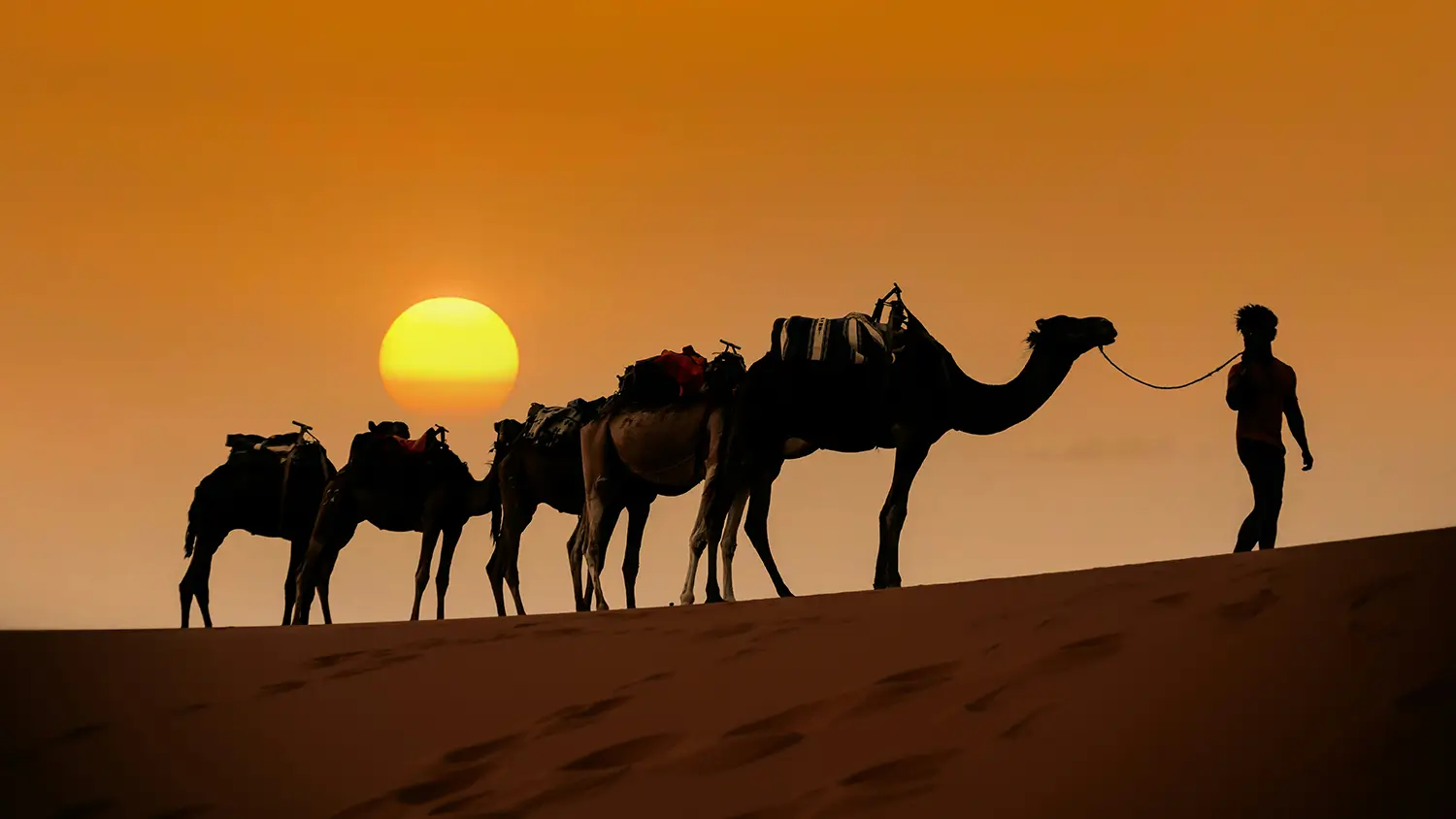 Sonnenuntergang Kamelritt mit Beduinen-Tee