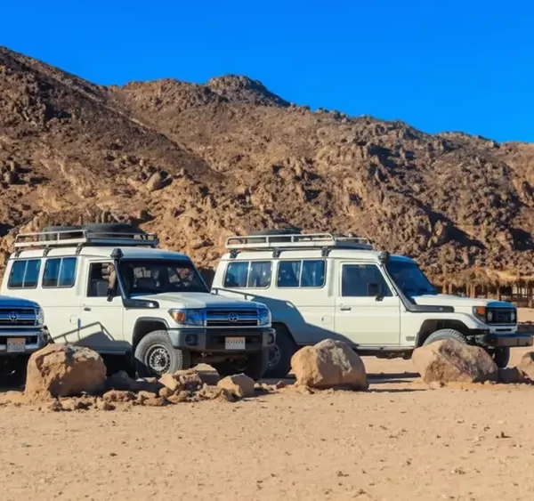 Super Safari Tour – Quad, Jeep & Kamelreiten