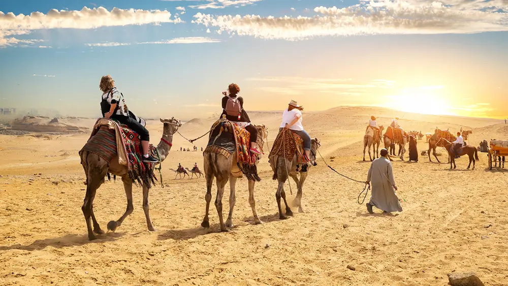 Pferd- und Kamelreiten Kombitour – Bild 8