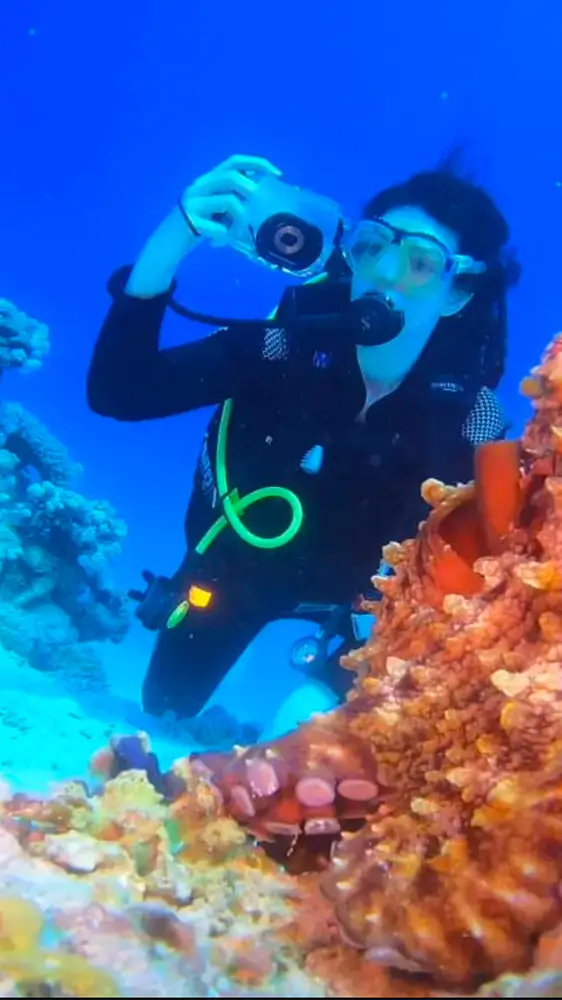 Schnuppertauchen Hurghada – 1 oder 2 Tauchgänge – Bild 3