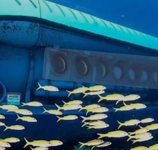 U-Boot Tour – Entdecke die Unterwasserwelt